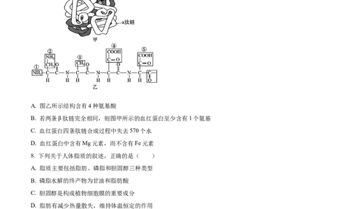 江苏省连云港市东海县2024-2025学年高一上学期期中考试生物试题Word版无答案_2024年12月试卷_1203江苏省连云港市东海县2024-2025学年高一上学期期中考试