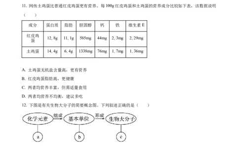 江苏省连云港市东海县2024-2025学年高一上学期期中考试生物试题Word版无答案_2024年12月试卷_1203江苏省连云港市东海县2024-2025学年高一上学期期中考试