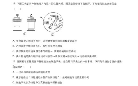 江苏省连云港市东海县2024-2025学年高一上学期期中考试生物试题Word版无答案_2024年12月试卷_1203江苏省连云港市东海县2024-2025学年高一上学期期中考试