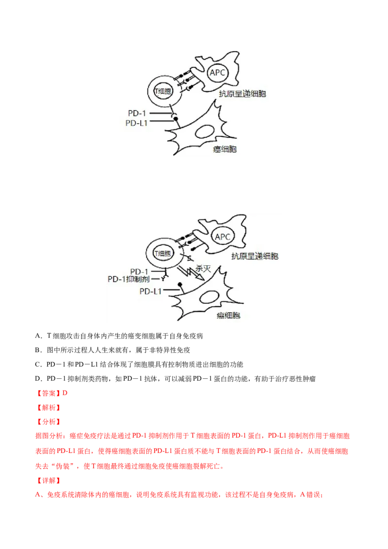 考向19免疫调节-备战2023年高考生物一轮复习考点微专题（全国通用）（解析版）_通用版（老高考）复习资料_2023年复习资料_一轮复习_备战2023年高考生物一轮复习考点微专题（全国通用）