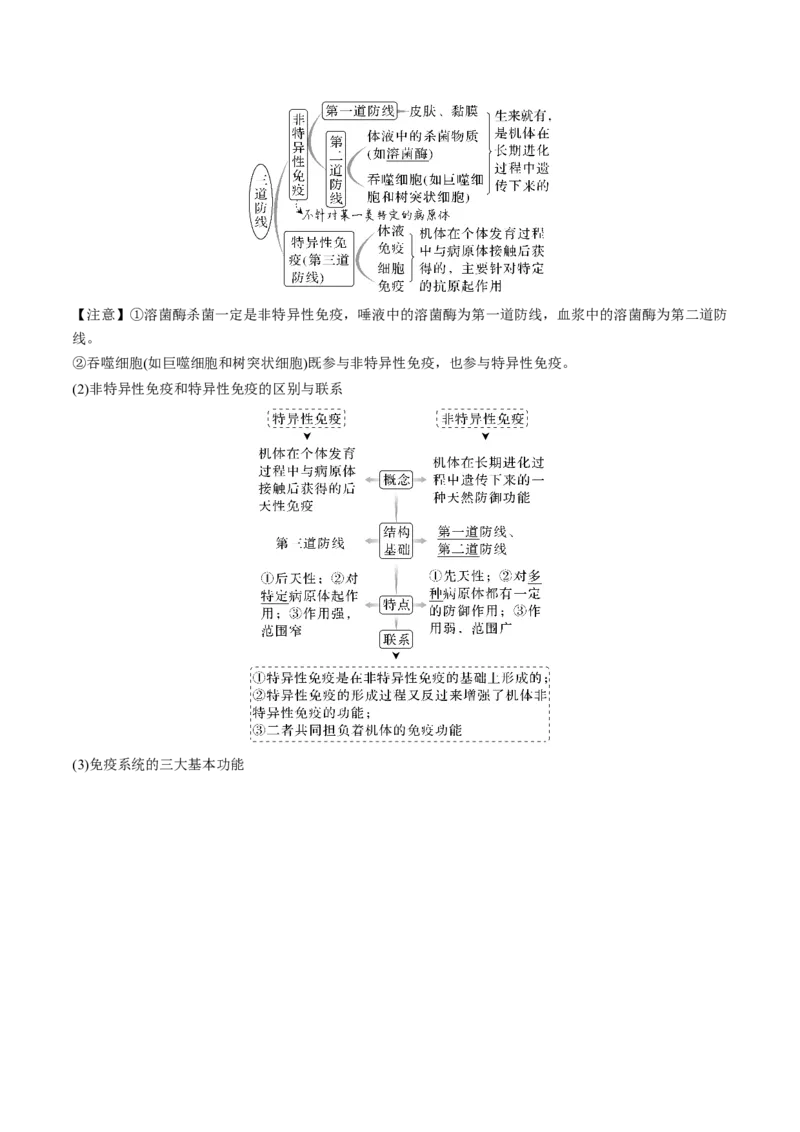 考向19免疫调节-备战2023年高考生物一轮复习考点微专题（全国通用）（解析版）_通用版（老高考）复习资料_2023年复习资料_一轮复习_备战2023年高考生物一轮复习考点微专题（全国通用）