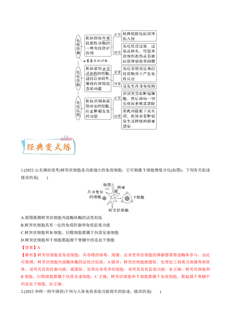 考向19免疫调节-备战2023年高考生物一轮复习考点微专题（全国通用）（解析版）_通用版（老高考）复习资料_2023年复习资料_一轮复习_备战2023年高考生物一轮复习考点微专题（全国通用）