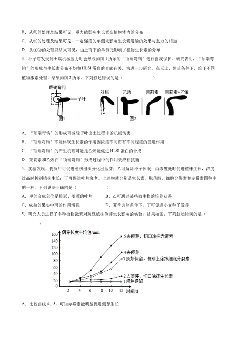 考向20植物生命活动的调节-备战2023年高考生物一轮复习考点微专题（全国通用）（原卷版）_通用版（老高考）复习资料_2023年复习资料_一轮复习