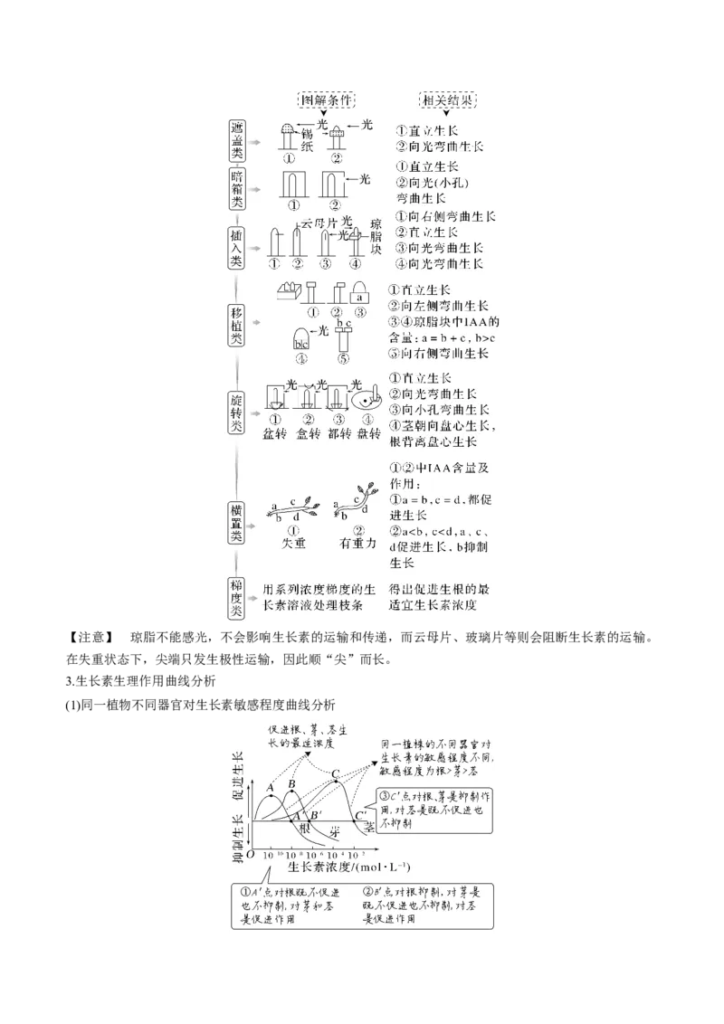 考向20植物生命活动的调节-备战2023年高考生物一轮复习考点微专题（全国通用）（原卷版）_通用版（老高考）复习资料_2023年复习资料_一轮复习