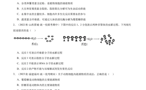 第2讲细胞中的糖类和脂质（原卷版）_通用版（老高考）复习资料_2024年复习资料_完备战2024年高考生物一轮复习考点帮（全国通用）_专题二细胞的物质基础