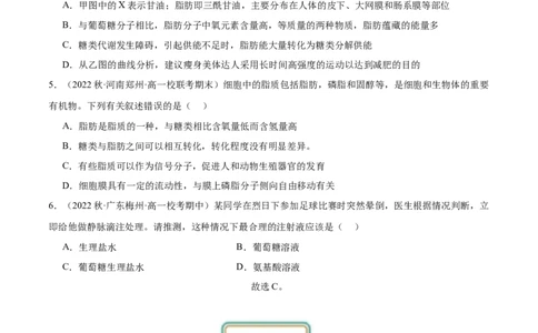 第2讲细胞中的糖类和脂质（原卷版）_通用版（老高考）复习资料_2024年复习资料_完备战2024年高考生物一轮复习考点帮（全国通用）_专题二细胞的物质基础