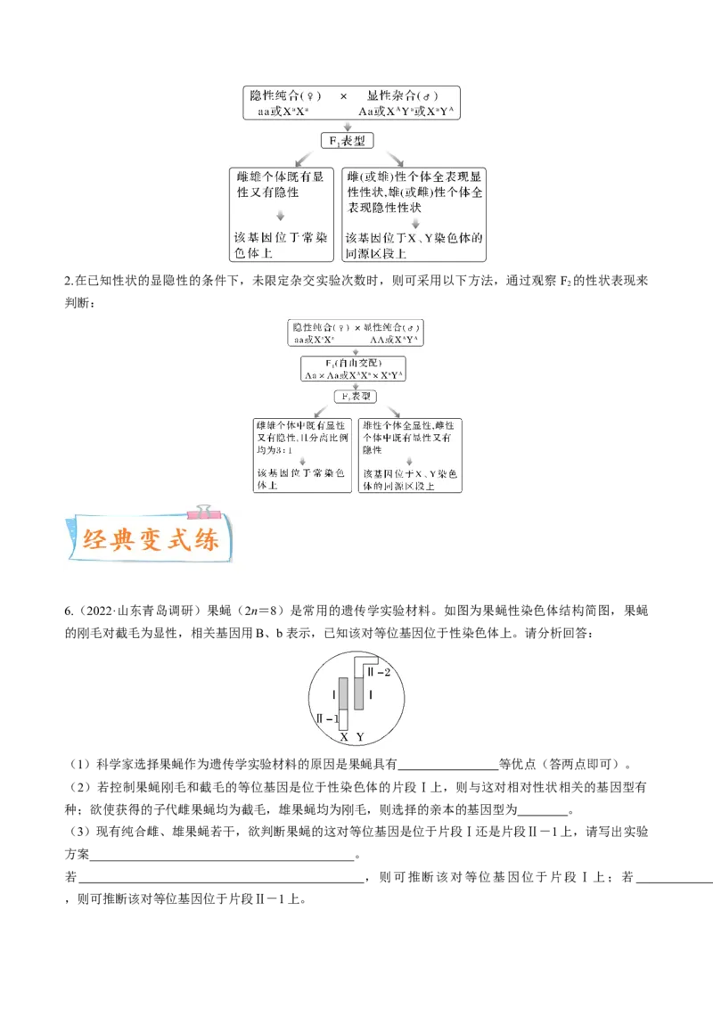 考向11伴性遗传和人类遗传病-备战2023年高考生物一轮复习考点微专题（全国通用）（原卷版）(1)_通用版（老高考）复习资料_2023年复习资料_一轮复习