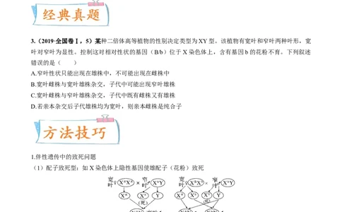 考向11伴性遗传和人类遗传病-备战2023年高考生物一轮复习考点微专题（全国通用）（原卷版）(1)_通用版（老高考）复习资料_2023年复习资料_一轮复习