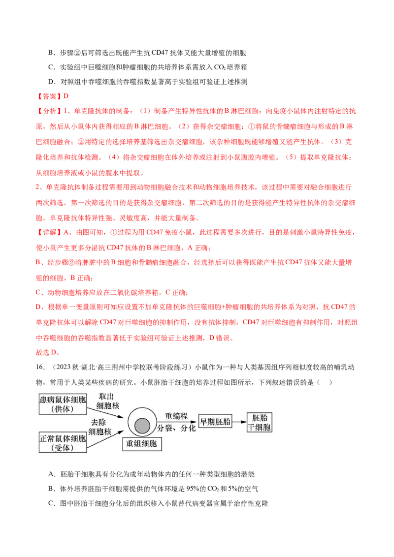 第十单元生物技术与工程（测试）（解析版）_新高考复习资料_2024年新高考复习资料_一轮复习资料_完2024年高考生物一轮复习讲练测(课件+讲义+练习)（新高考）_单元测试