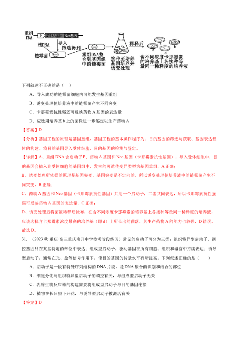第十单元生物技术与工程（测试）（解析版）_新高考复习资料_2024年新高考复习资料_一轮复习资料_完2024年高考生物一轮复习讲练测(课件+讲义+练习)（新高考）_单元测试