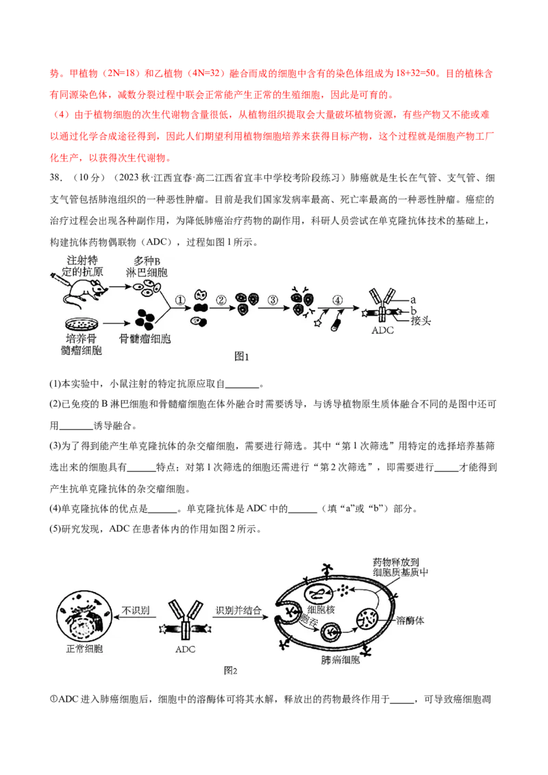 第十单元生物技术与工程（测试）（解析版）_新高考复习资料_2024年新高考复习资料_一轮复习资料_完2024年高考生物一轮复习讲练测(课件+讲义+练习)（新高考）_单元测试
