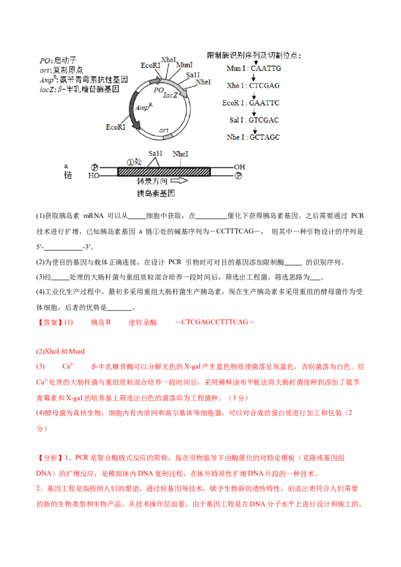 第十单元生物技术与工程（测试）（解析版）_新高考复习资料_2024年新高考复习资料_一轮复习资料_完2024年高考生物一轮复习讲练测(课件+讲义+练习)（新高考）_单元测试
