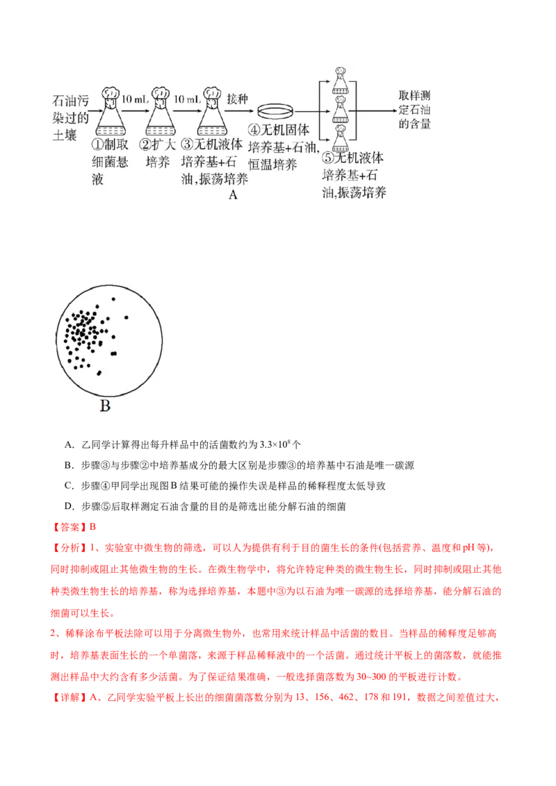 第十单元生物技术与工程（测试）（解析版）_新高考复习资料_2024年新高考复习资料_一轮复习资料_完2024年高考生物一轮复习讲练测(课件+讲义+练习)（新高考）_单元测试