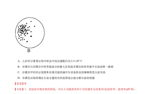 第十单元生物技术与工程（测试）（解析版）_新高考复习资料_2024年新高考复习资料_一轮复习资料_完2024年高考生物一轮复习讲练测(课件+讲义+练习)（新高考）_单元测试