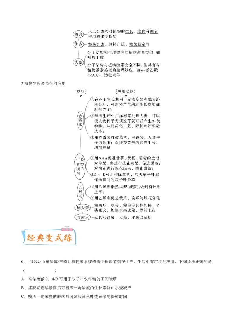 考向20植物生命活动的调节-备战2023年高考生物一轮复习考点微专题（全国通用）（解析版）(1)_通用版（老高考）复习资料_2023年复习资料_一轮复习