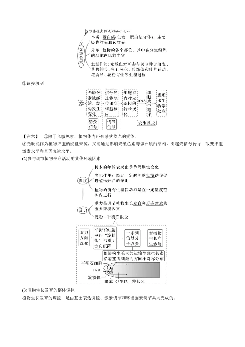 考向20植物生命活动的调节-备战2023年高考生物一轮复习考点微专题（全国通用）（解析版）(1)_通用版（老高考）复习资料_2023年复习资料_一轮复习