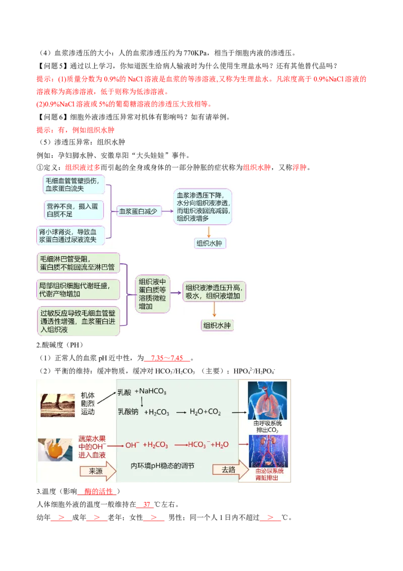第24讲内环境与稳态（讲义）（解析版）_2025年新高考资料_一轮复习_2025年高考生物一轮复习讲练测（新教材新高考）