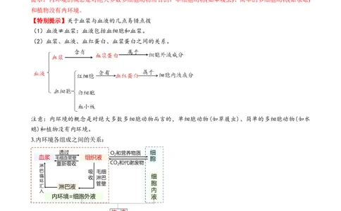 第24讲内环境与稳态（讲义）（解析版）_2025年新高考资料_一轮复习_2025年高考生物一轮复习讲练测（新教材新高考）