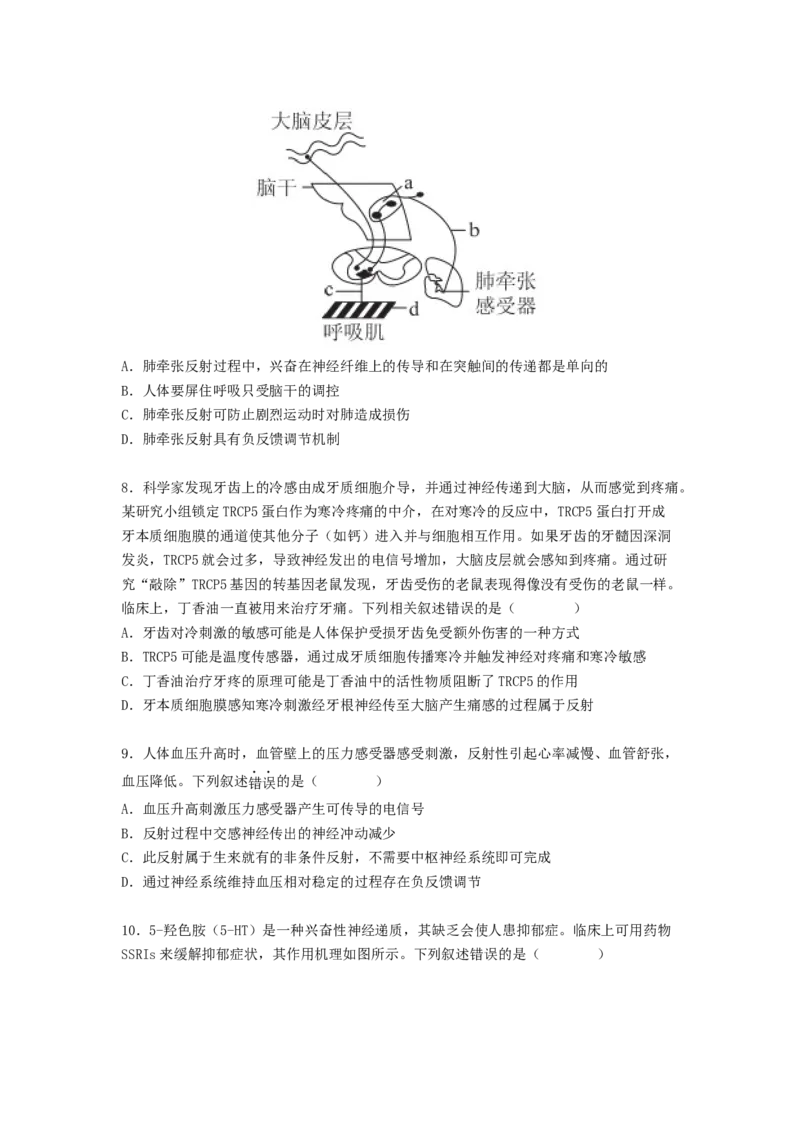 考点25神经调节（原卷版）_通用版（老高考）复习资料_2023年复习资料_一轮复习_2023年高考生物一轮复习讲练测（全国通用）