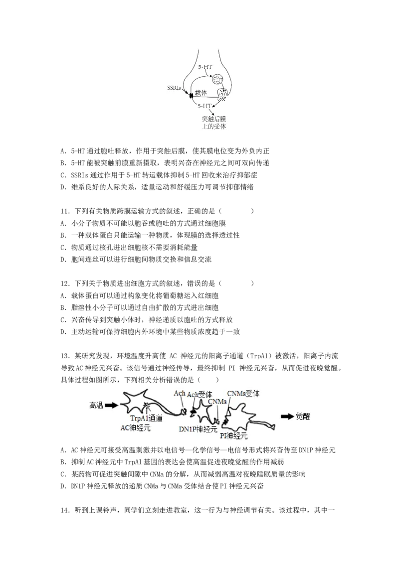 考点25神经调节（原卷版）_通用版（老高考）复习资料_2023年复习资料_一轮复习_2023年高考生物一轮复习讲练测（全国通用）