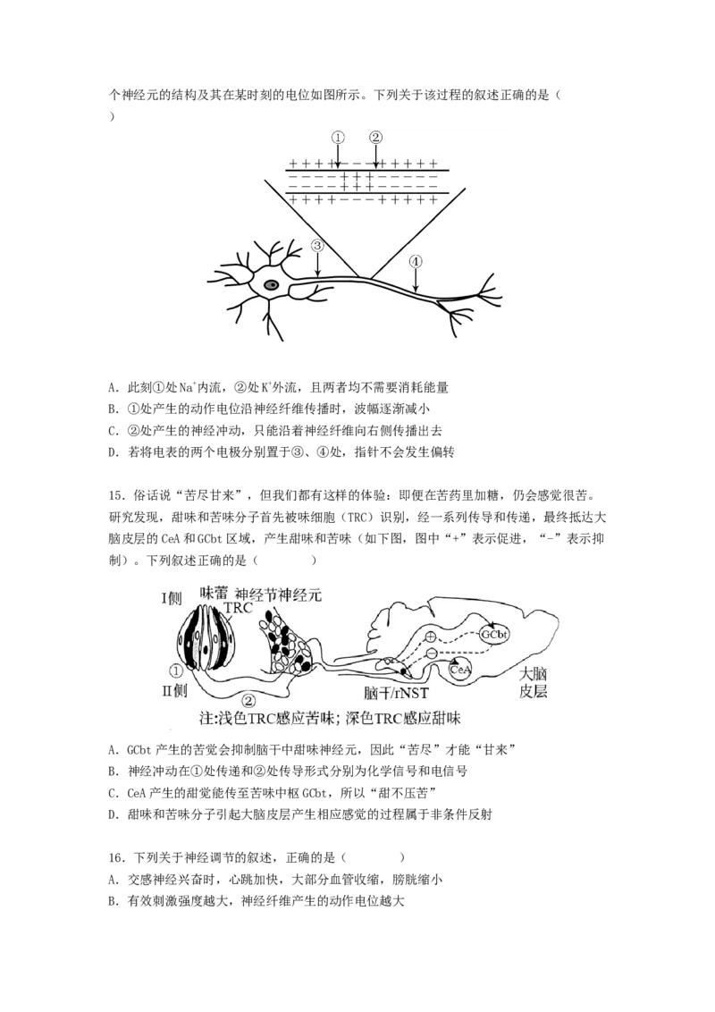 考点25神经调节（原卷版）_通用版（老高考）复习资料_2023年复习资料_一轮复习_2023年高考生物一轮复习讲练测（全国通用）