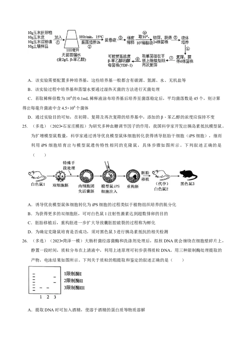 第13讲生物技术与工程（检测）（原卷版）_新高考复习资料_2023年新高考复习资料_二轮复习_2023年高考生物二轮复习讲练测（新教材专用）