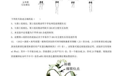 第26练植物激素调节（原卷版）_新高考复习资料_2023年新高考复习资料_一轮复习_2023年高考生物一轮复习小题多维练（新高考专用）