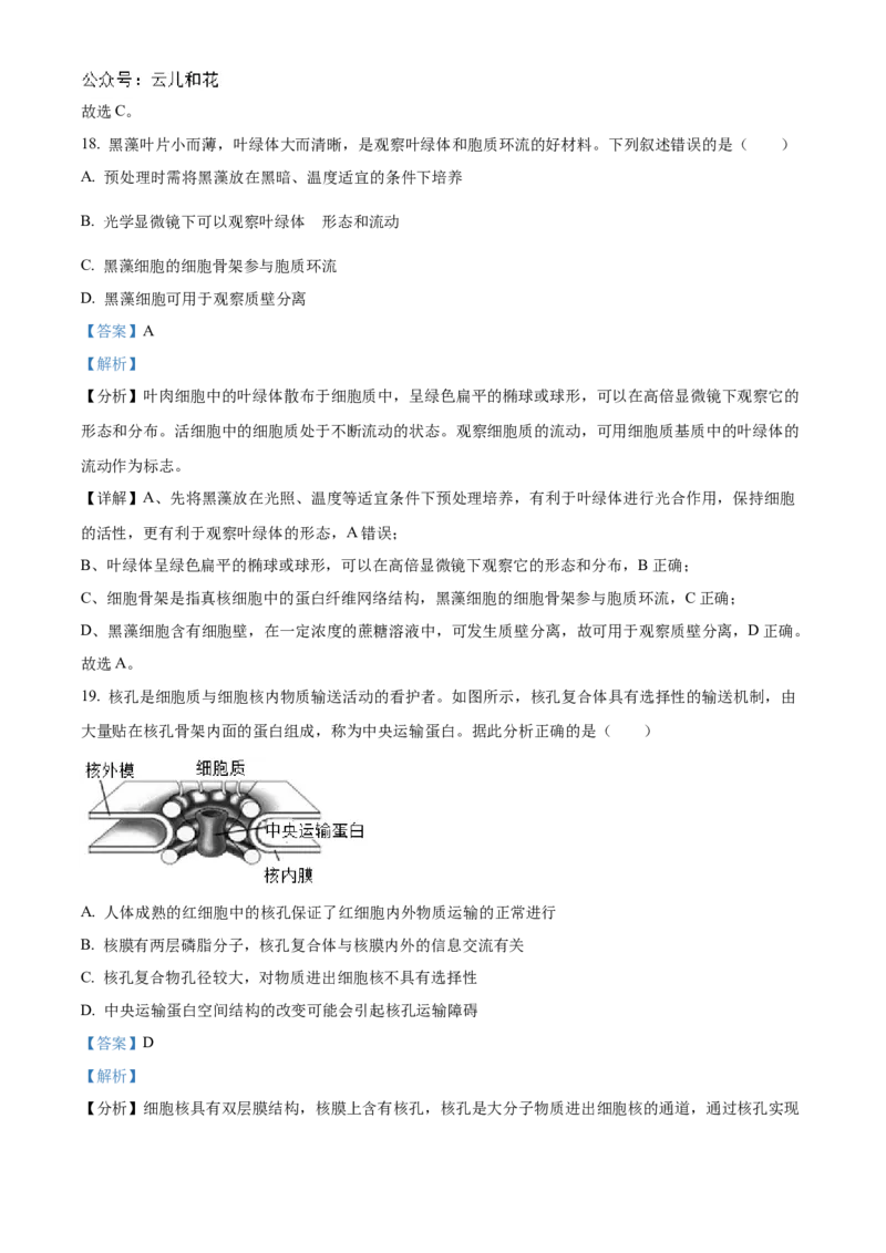 浙江省金砖联盟2024-2025学年高一上学期期中联考生物试卷Word版含解析_2024年11月试卷_1113浙江省金砖联盟2024-2025学年高一上学期期中联考