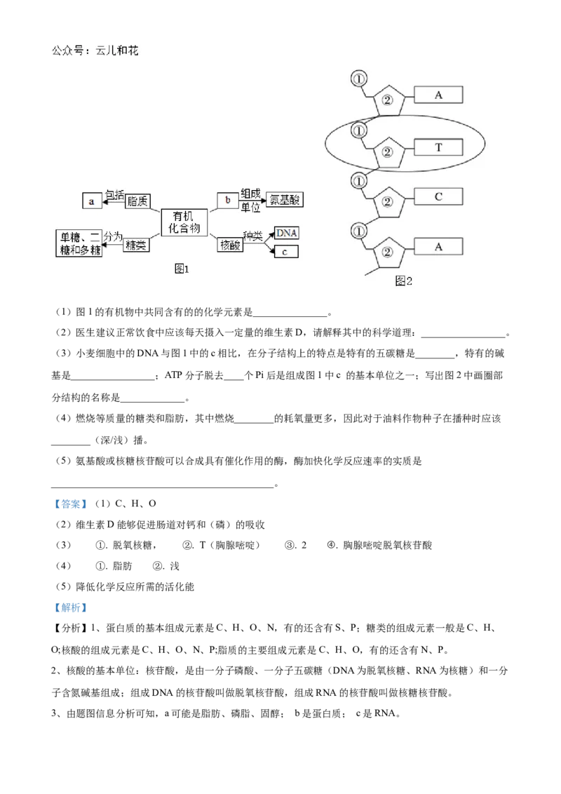 浙江省金砖联盟2024-2025学年高一上学期期中联考生物试卷Word版含解析_2024年11月试卷_1113浙江省金砖联盟2024-2025学年高一上学期期中联考