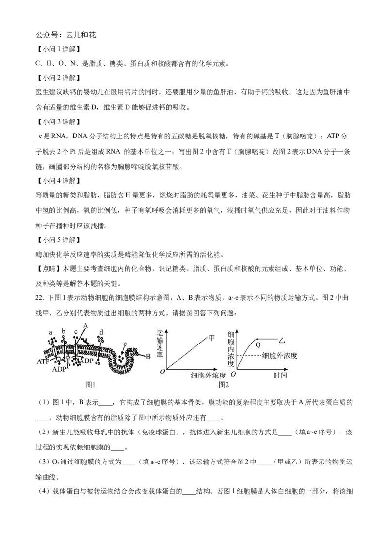 浙江省金砖联盟2024-2025学年高一上学期期中联考生物试卷Word版含解析_2024年11月试卷_1113浙江省金砖联盟2024-2025学年高一上学期期中联考