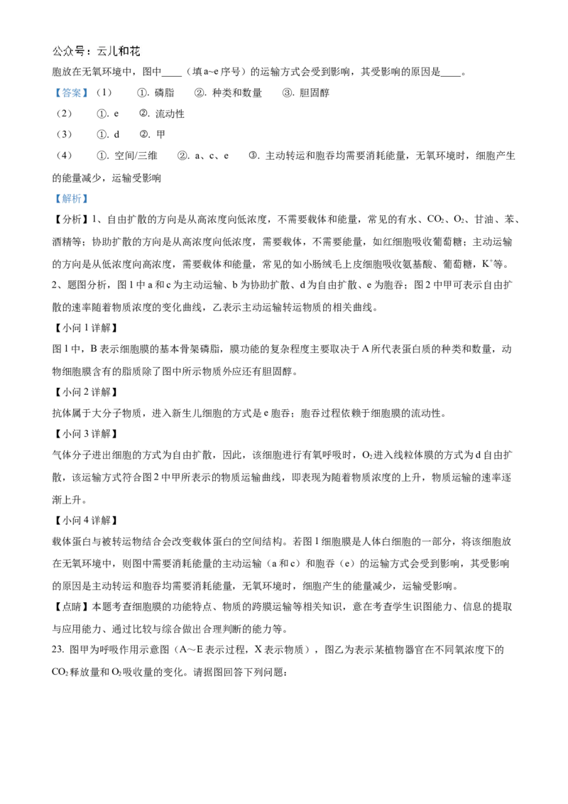 浙江省金砖联盟2024-2025学年高一上学期期中联考生物试卷Word版含解析_2024年11月试卷_1113浙江省金砖联盟2024-2025学年高一上学期期中联考