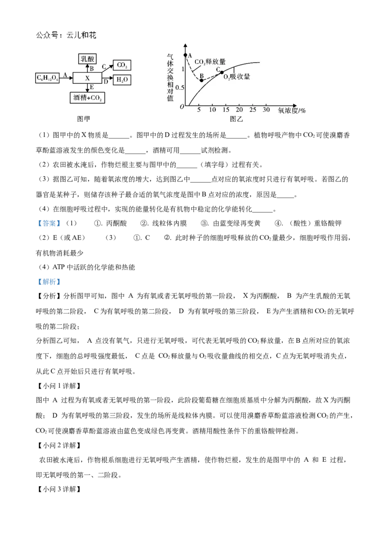 浙江省金砖联盟2024-2025学年高一上学期期中联考生物试卷Word版含解析_2024年11月试卷_1113浙江省金砖联盟2024-2025学年高一上学期期中联考