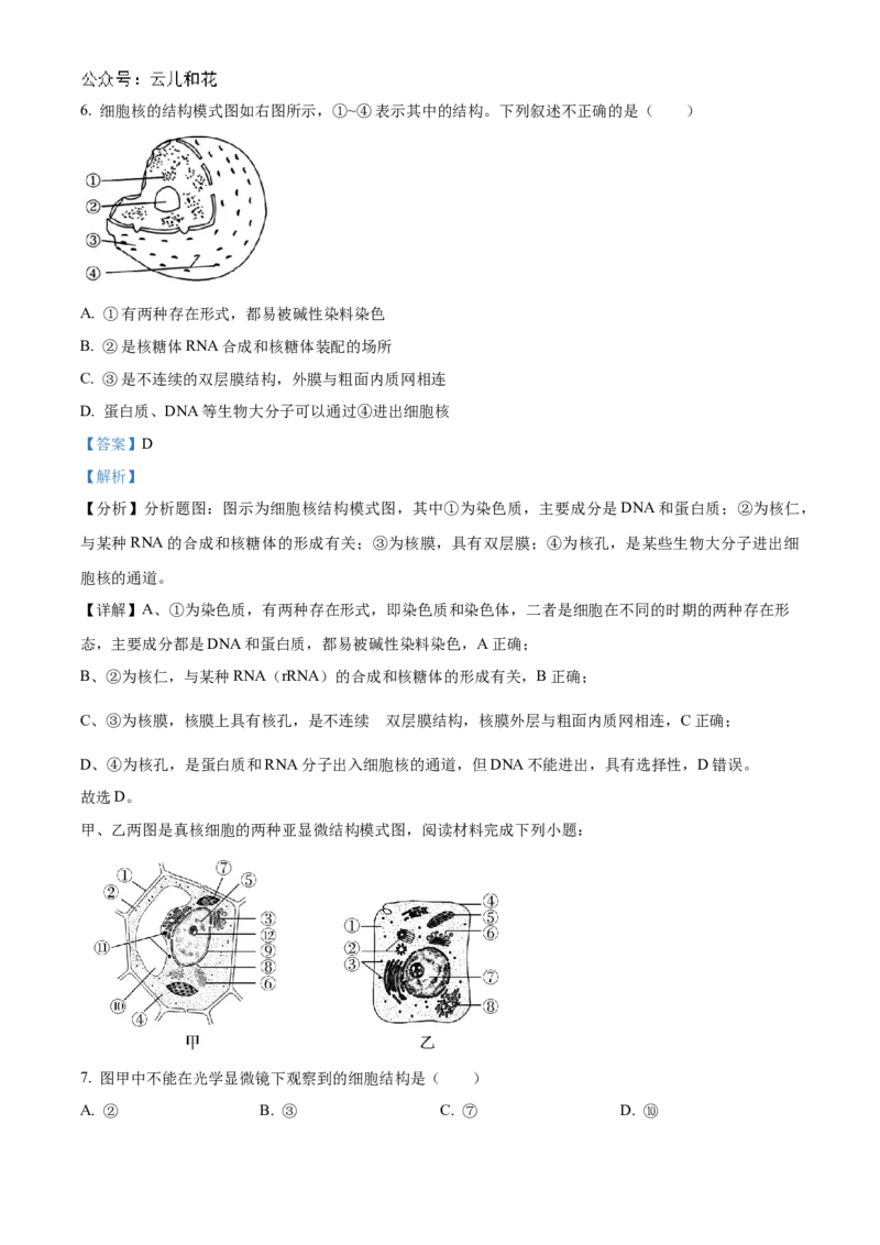 浙江省金砖联盟2024-2025学年高一上学期期中联考生物试卷Word版含解析_2024年11月试卷_1113浙江省金砖联盟2024-2025学年高一上学期期中联考