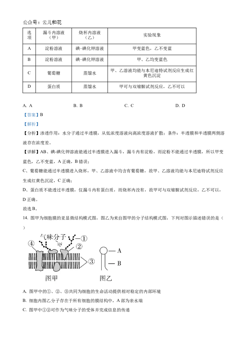 浙江省金砖联盟2024-2025学年高一上学期期中联考生物试卷Word版含解析_2024年11月试卷_1113浙江省金砖联盟2024-2025学年高一上学期期中联考