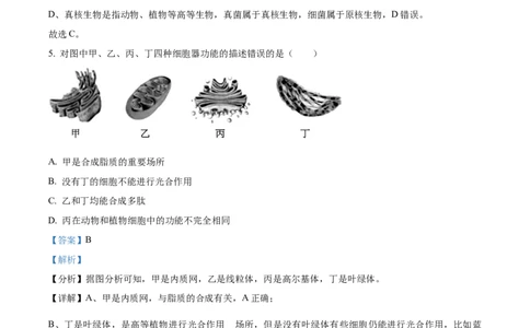 浙江省金砖联盟2024-2025学年高一上学期期中联考生物试卷Word版含解析_2024年11月试卷_1113浙江省金砖联盟2024-2025学年高一上学期期中联考