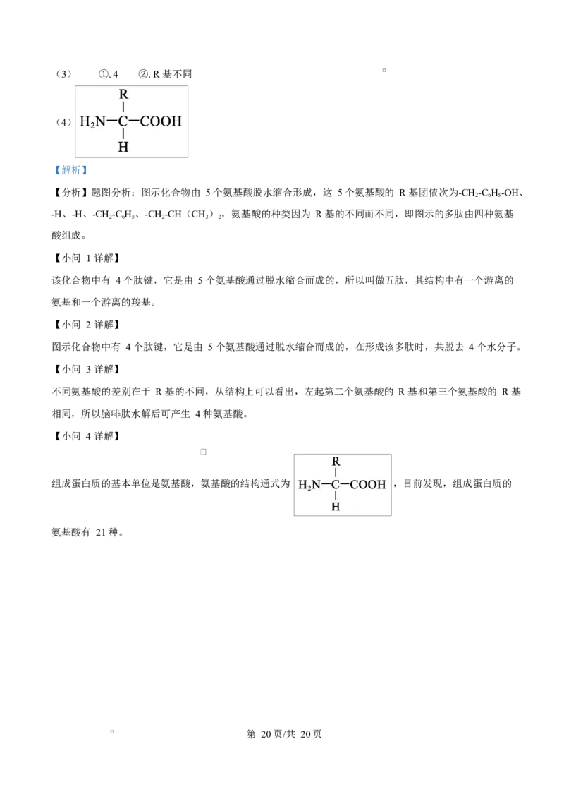 四川省成都市成华区某校2025-2026学年高一上学期阶段性考试（一）生物试题Word版含解析_2025年10月高一试卷_251028四川省成都市成华区某校2025-2026学年高一上学期阶段性考试（一）
