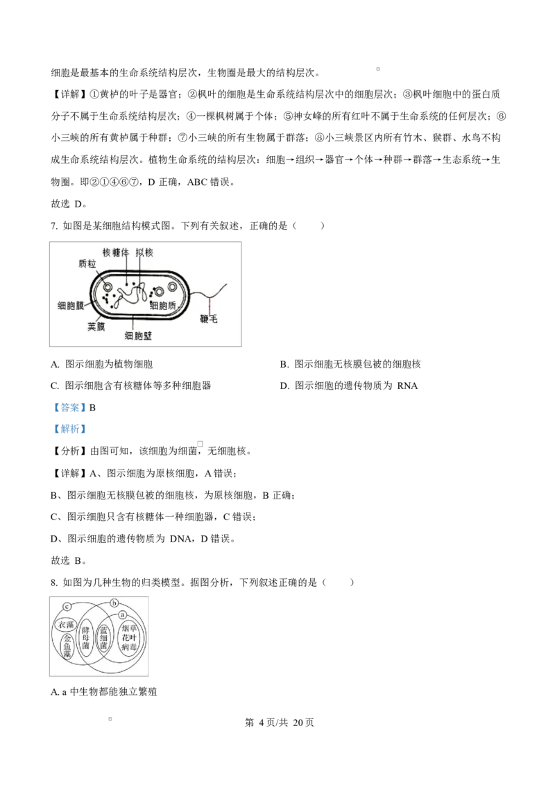 四川省成都市成华区某校2025-2026学年高一上学期阶段性考试（一）生物试题Word版含解析_2025年10月高一试卷_251028四川省成都市成华区某校2025-2026学年高一上学期阶段性考试（一）