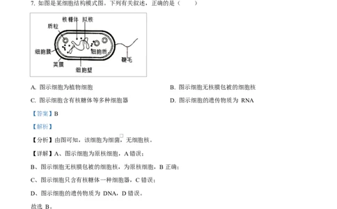 四川省成都市成华区某校2025-2026学年高一上学期阶段性考试（一）生物试题Word版含解析_2025年10月高一试卷_251028四川省成都市成华区某校2025-2026学年高一上学期阶段性考试（一）