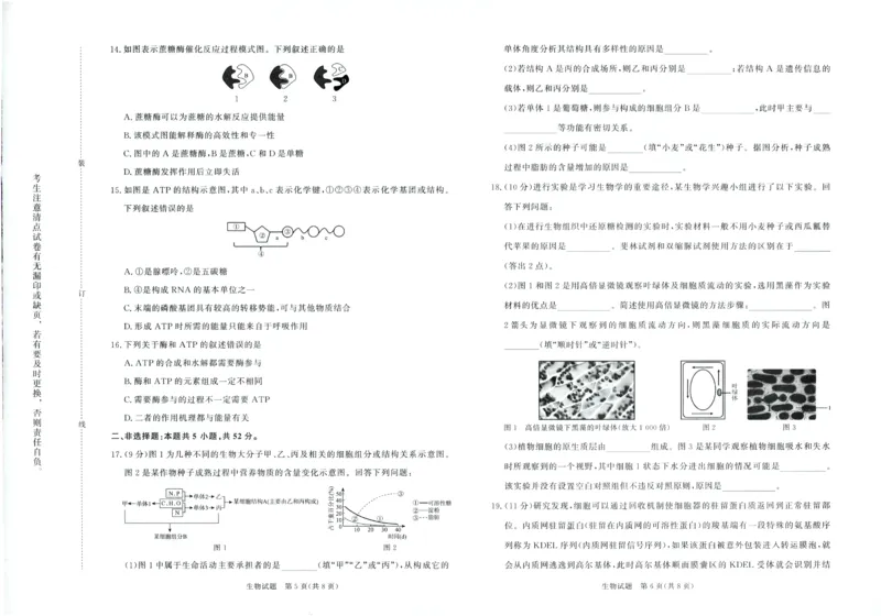 生物试卷-高一青桐鸣大联考2025年12月联考_2025年12月高一试卷_251221河南省青桐鸣大联考2025-2026学年高一上学期12月月考（全）