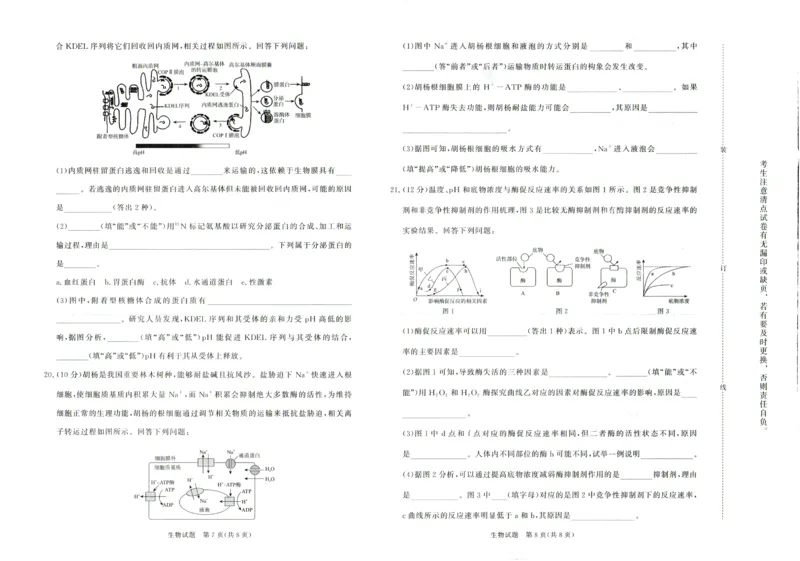 生物试卷-高一青桐鸣大联考2025年12月联考_2025年12月高一试卷_251221河南省青桐鸣大联考2025-2026学年高一上学期12月月考（全）