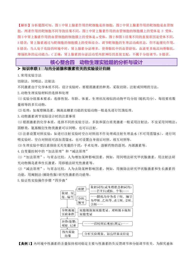 第11讲神经调节和体液调节（讲义）（解析版）_2025年新高考资料_二轮复习_01高考语文等多个文件_上好课2025年高考生物二轮复习讲练测（新高考通用）
