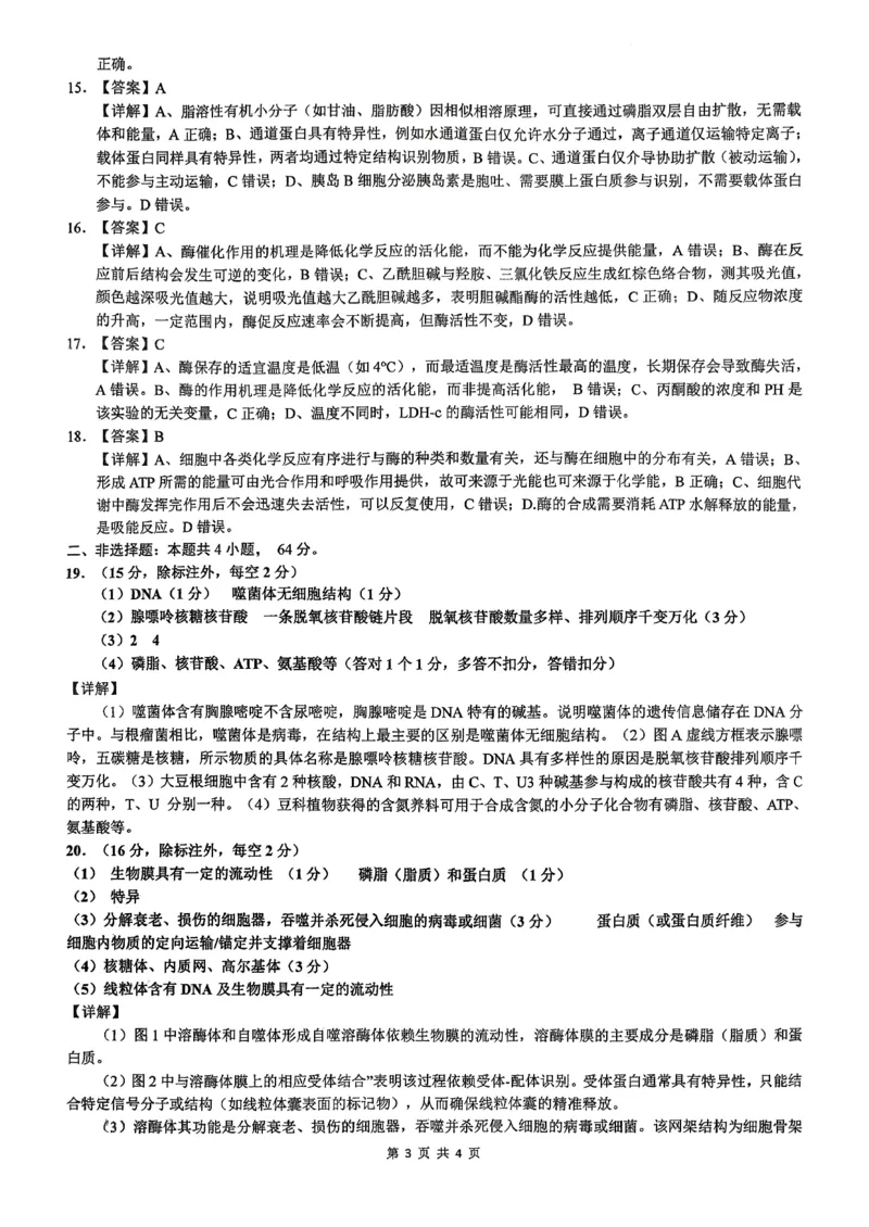 湖北省百强高中名校2025-2026学年高一上学期12月月考生物试题答案_2026年01月高一试卷_260109湖北省百强高中名校2025-2026学年高一上学期12月月考