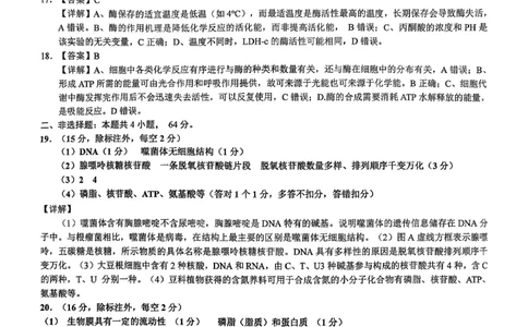 湖北省百强高中名校2025-2026学年高一上学期12月月考生物试题答案_2026年01月高一试卷_260109湖北省百强高中名校2025-2026学年高一上学期12月月考