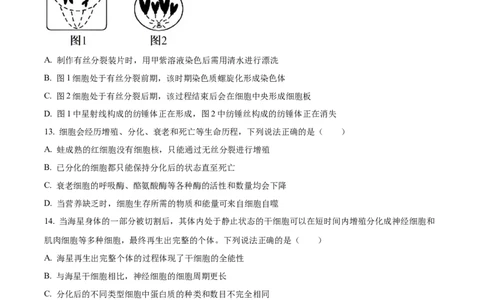 生物开学测试习题(1)_2025年03月试卷_0319辽宁省抚顺市第一中学2024-2025学年高一下学期期初考试_辽宁省抚顺市第一中学2024-2025学年度高一下学期开学考试生物试题及答案