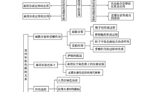 考点精讲8孟德尔遗传规律（教案）_新高考复习资料_2022年新高考复习资料_2022届一轮复习讲练结合7.13更新_系列二_考点精讲8孟德尔遗传规律