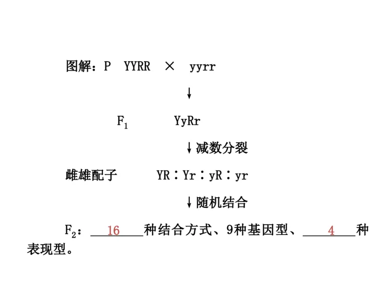 考点精讲8孟德尔遗传规律（教案）_新高考复习资料_2022年新高考复习资料_2022届一轮复习讲练结合7.13更新_系列二_考点精讲8孟德尔遗传规律
