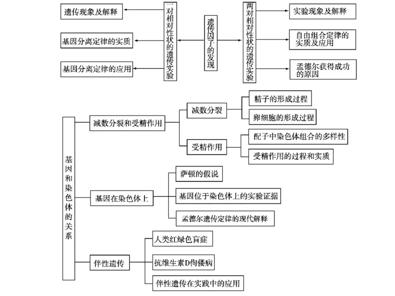 考点精讲8孟德尔遗传规律（教案）_新高考复习资料_2022年新高考复习资料_2022届一轮复习讲练结合7.13更新_系列二_考点精讲8孟德尔遗传规律