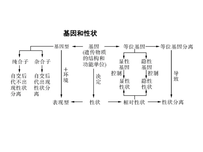 考点精讲8孟德尔遗传规律（教案）_新高考复习资料_2022年新高考复习资料_2022届一轮复习讲练结合7.13更新_系列二_考点精讲8孟德尔遗传规律