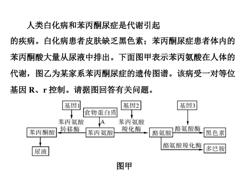 考点精讲8孟德尔遗传规律（教案）_新高考复习资料_2022年新高考复习资料_2022届一轮复习讲练结合7.13更新_系列二_考点精讲8孟德尔遗传规律
