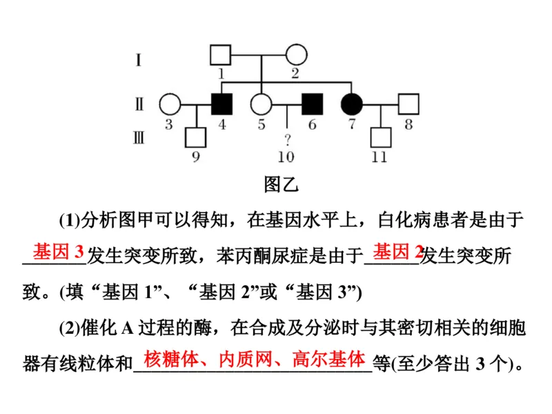考点精讲8孟德尔遗传规律（教案）_新高考复习资料_2022年新高考复习资料_2022届一轮复习讲练结合7.13更新_系列二_考点精讲8孟德尔遗传规律